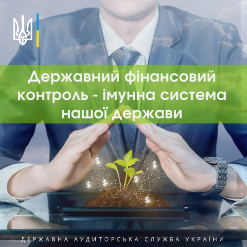 Державний фінансовий контроль - імунна система нашої держави